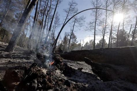 Spain tells 'fire tourists' to stay away from forest blaze